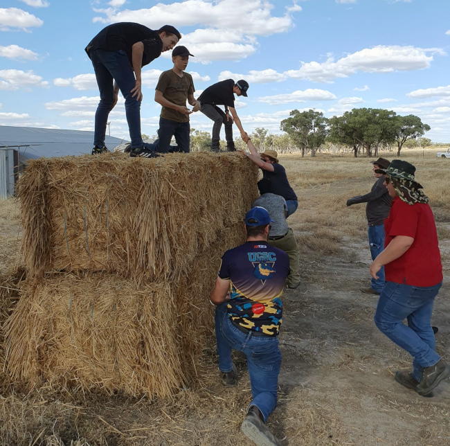 Climbing Hay Bale