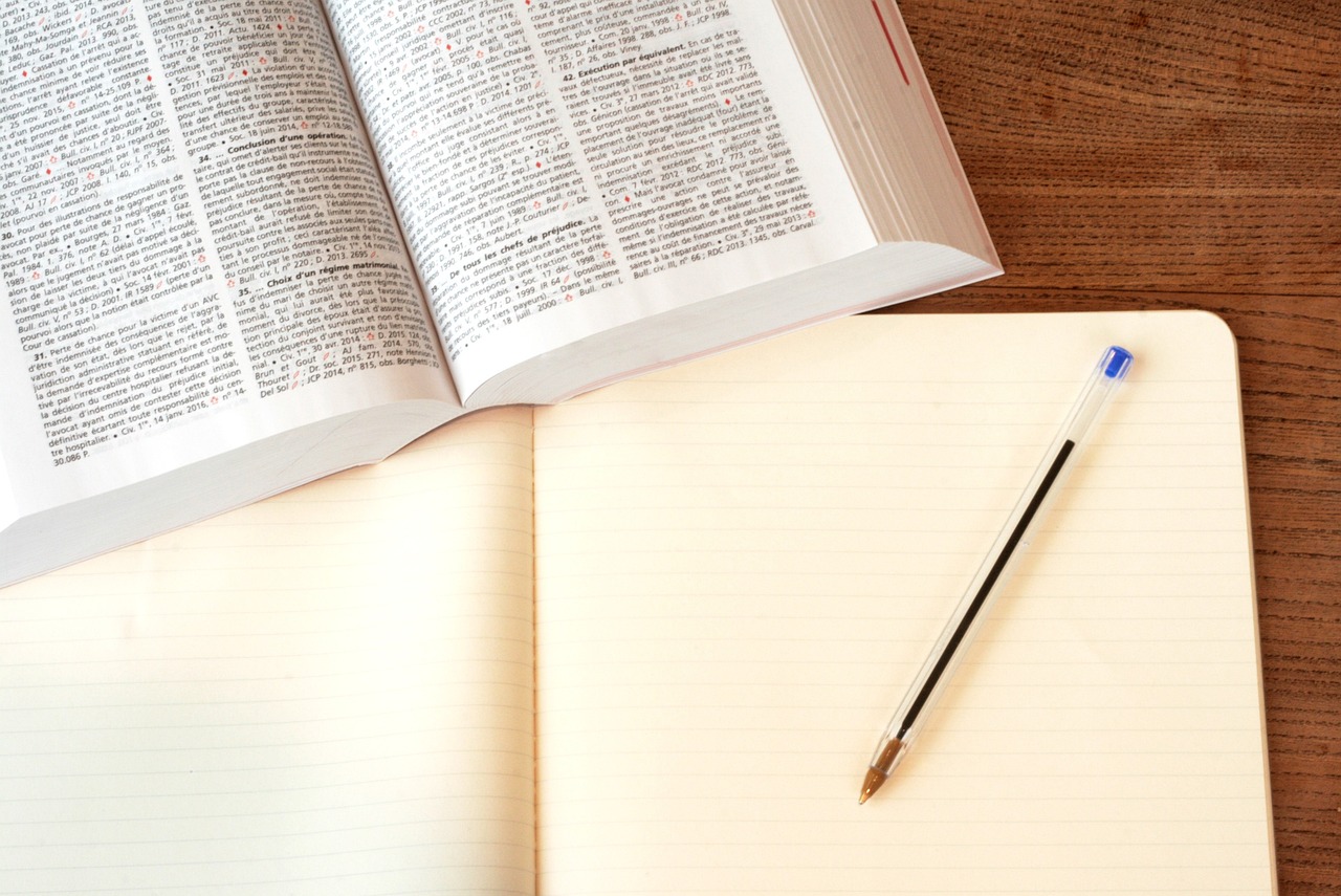 study, lawyer, right, legal, learn, to study, work, to work, student, book, justice, to write, law, lawyer, lawyer, legal, legal, law, law, law, law, law-2746004.jpg